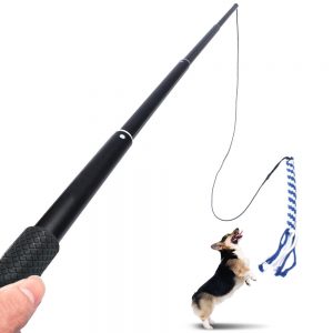 Extendable Teaser Wand Dog Toy Stick Flirt Fishing Pole for Dogs Dog Training UK